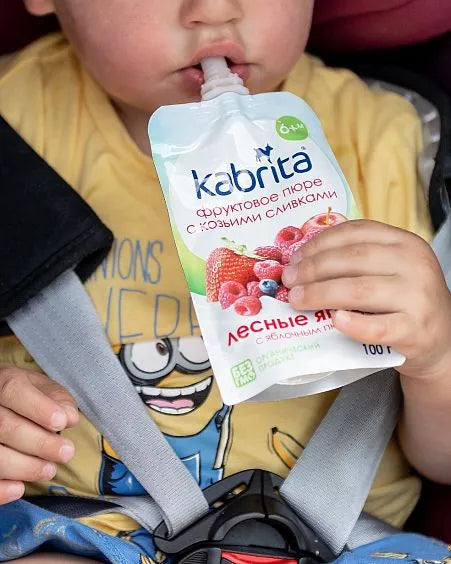 Kabrita Berries And Apple Puree With Sweet Goat Milk Cream 100 G - 6 Pouches - EmmBaby