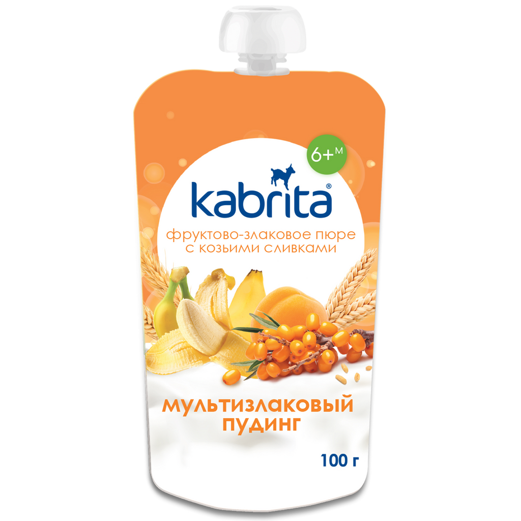 Kabrita Multi-Grain Pudding With Sea Buckthorn, Fruit And Goat Cream 100 G - 6 Pouches - EmmBaby