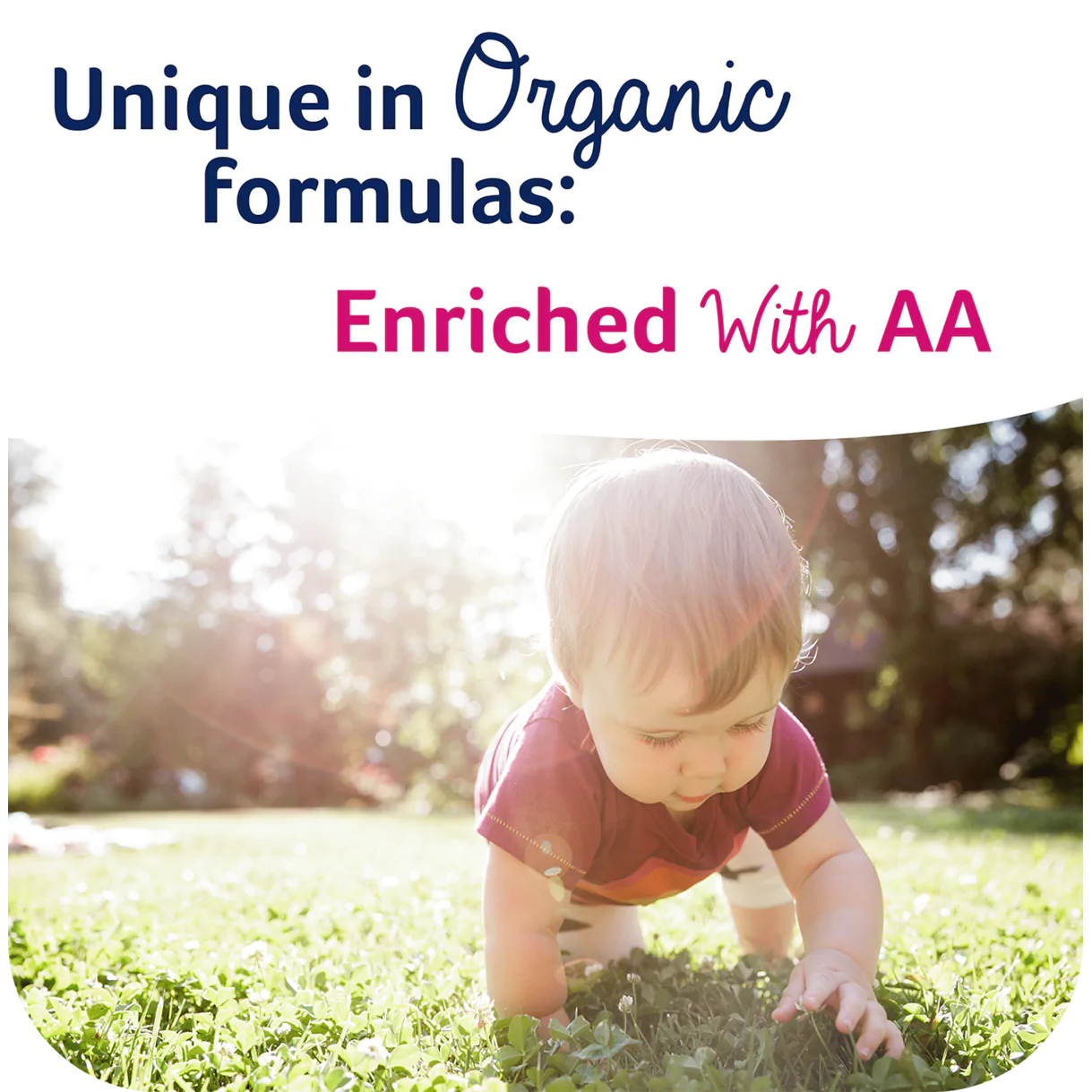 Jovie Goat Milk Stage 2 Organic Baby Formula (6-12 Months)